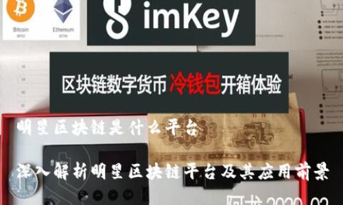 明星区块链是什么平台

深入解析明星区块链平台及其应用前景