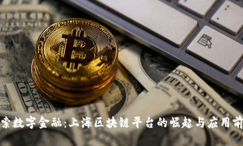 探索数字金融：上海区块链平台的崛起与应用前景