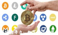 区块链政府平台: 数字化治理的新纪元