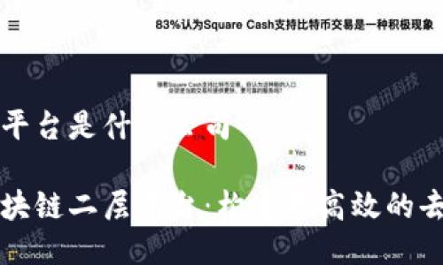 区块链二层平台是什么公司

深入探讨区块链二层平台：构建更高效的去中心化生态