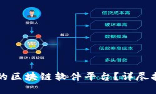 如何打造高效的区块链软件平台？详尽指南与最佳实践