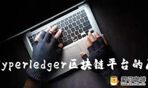 深入探讨Hyperledger区块链平台的原理与价值