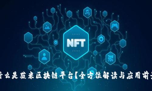 什么是薇米区块链平台？全方位解读与应用前景