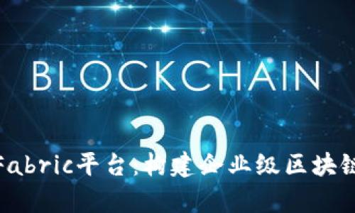 全面解析区块链Fabric平台：构建企业级区块链解决方案的首选