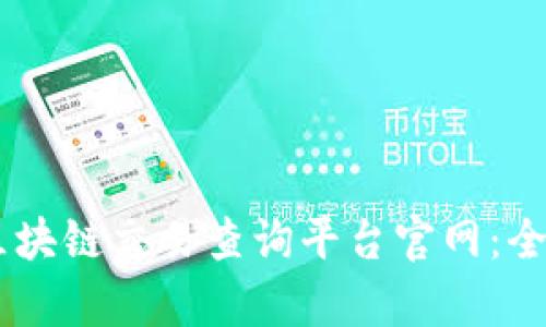 泰达币（Tether）区块链交易查询平台官网：全面解析与使用指南