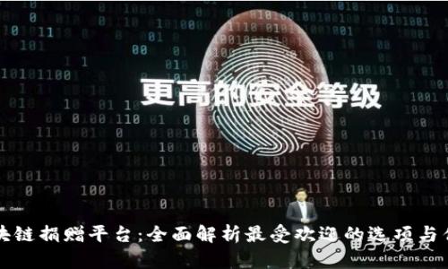 区块链捐赠平台：全面解析最受欢迎的选项与优势