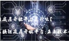 区块链底层开放平台是什么？揭秘区块链底层开