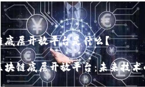 区块链底层开放平台是什么？

揭秘区块链底层开放平台：未来技术的基石