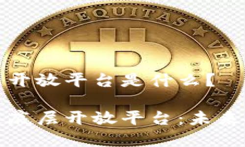 区块链底层开放平台是什么？

揭秘区块链底层开放平台：未来技术的基石