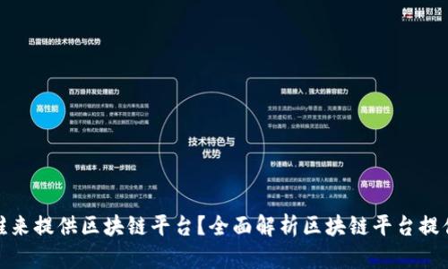 : 谁来提供区块链平台？全面解析区块链平台提供者