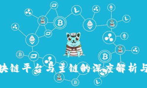: 区块链平台与主链的深度解析与比较