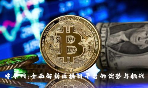 中币网：全面解析区块链平台的优势与挑战