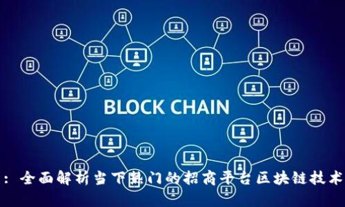: 全面解析当下热门的招商平台区块链技术
