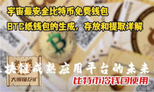 探索区块链成熟应用平台的未来与潜能