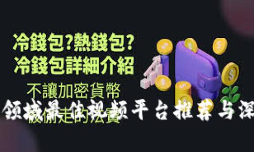 区块链领域最佳视频平台推荐与深度解析