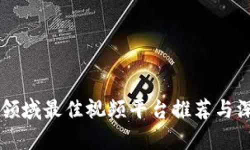 区块链领域最佳视频平台推荐与深度解析