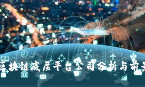国内区块链底层平台公司分析与前景展望