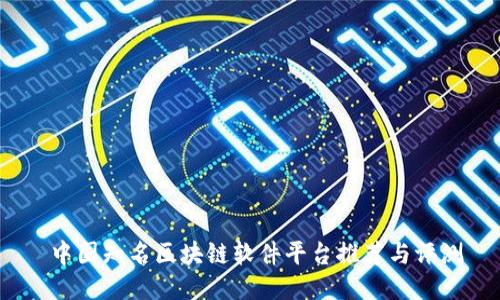  中国知名区块链软件平台推荐与评测