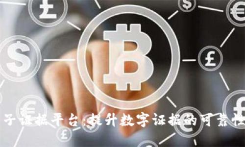 区块链电子证据平台：提升数字证据的可靠性与透明度