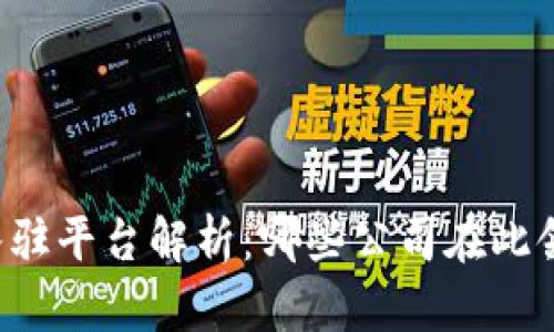 区块链入驻平台解析：哪些公司在此领域领先？