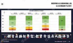 : 探索区块链平台：投资价值与风险评估