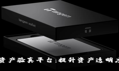 上海市区块链资产验真平台：提升资产透明度与信任的利器