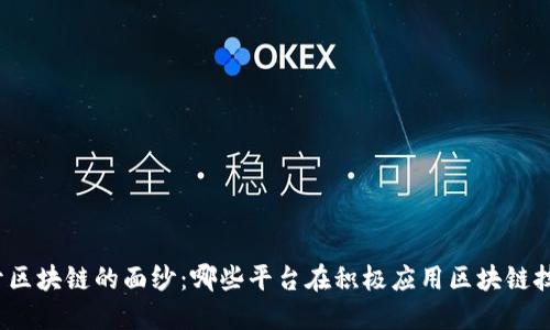 揭开区块链的面纱：哪些平台在积极应用区块链技术？