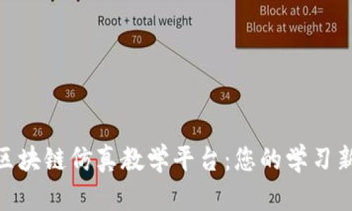 探索区块链仿真教学平台：您的学习新天地