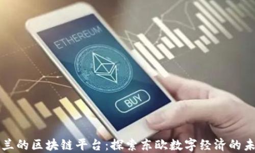 
波兰的区块链平台：探索东欧数字经济的未来