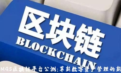 
探索MGS区块链平台公测：革新数字资产管理的新纪元