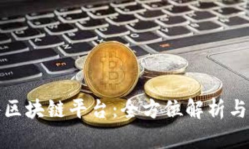 华宇软件区块链平台：全方位解析与应用实例