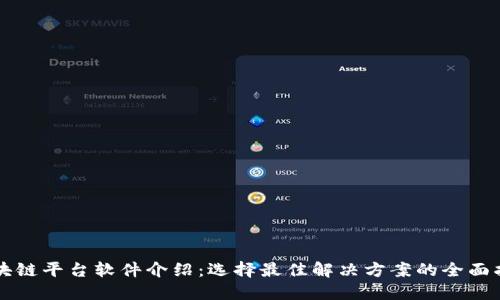 区块链平台软件介绍：选择最佳解决方案的全面指南