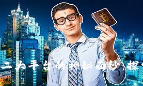  揭开区块链第二大平台的神秘面纱：探索其潜力与应用