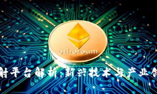 区块链发射平台解析：新兴技术与产业创新的结合