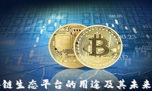 
区块链生态平台的用途及其未来发展