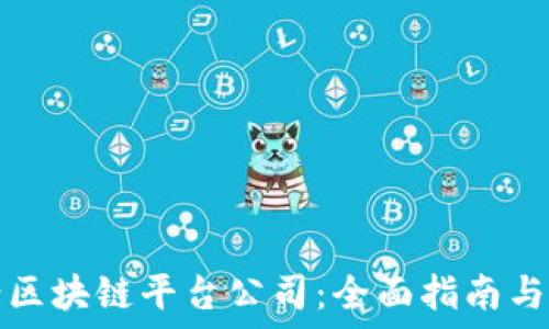   
如何备案区块链平台公司：全面指南与操作流程