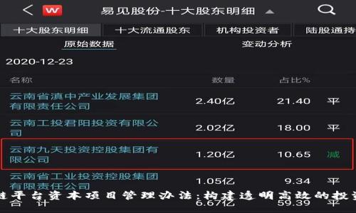区块链平台资本项目管理办法：构建透明高效的投资环境