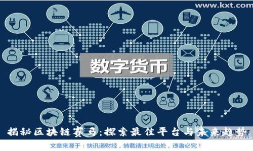 揭秘区块链赛马：探索最佳平台与未来趋势