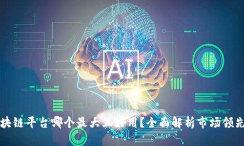 区块链平台哪个最大且好用？全面解析市场领先者