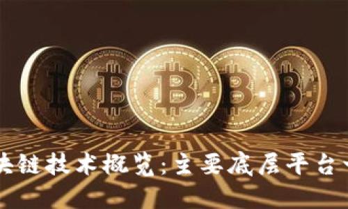 区块链技术概览：主要底层平台一览