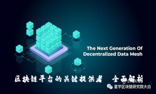 区块链平台的关键提供者—全面解析