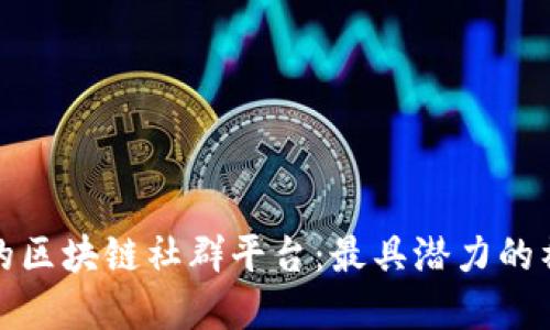 探索德州的区块链社群平台:最具潜力的社区与资源