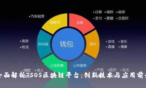 全面解析TSOS区块链平台：创新技术与应用前景