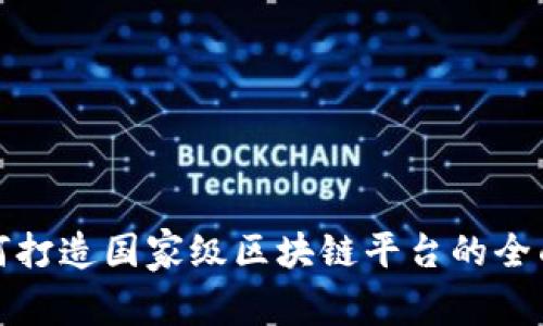 : 如何打造国家级区块链平台的全面指南