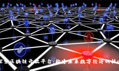 探索区块链开放平台：构建未来数字经济的核心