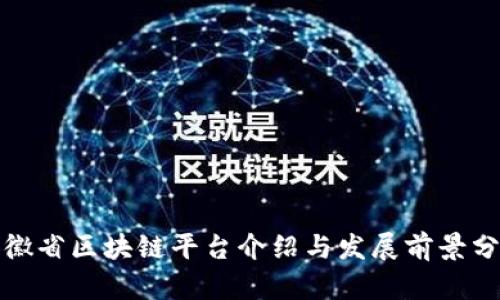 安徽省区块链平台介绍与发展前景分析