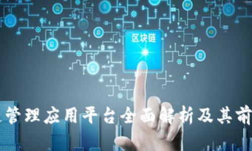 区块链管理应用平台全面解析及其前景展望
