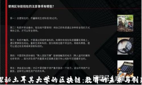 
探秘土耳其大学的区块链：教育的未来与创新
