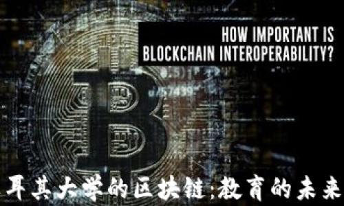 
探秘土耳其大学的区块链：教育的未来与创新
