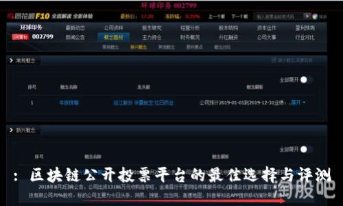 : 区块链公开投票平台的最佳选择与评测
